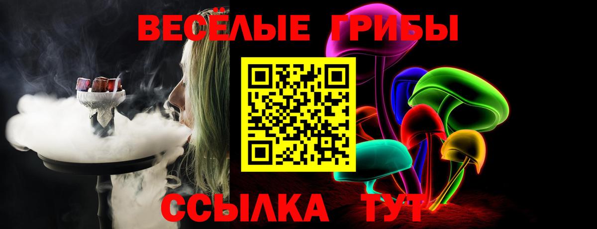 Галлюциногенные грибы мицелий Воскресенск